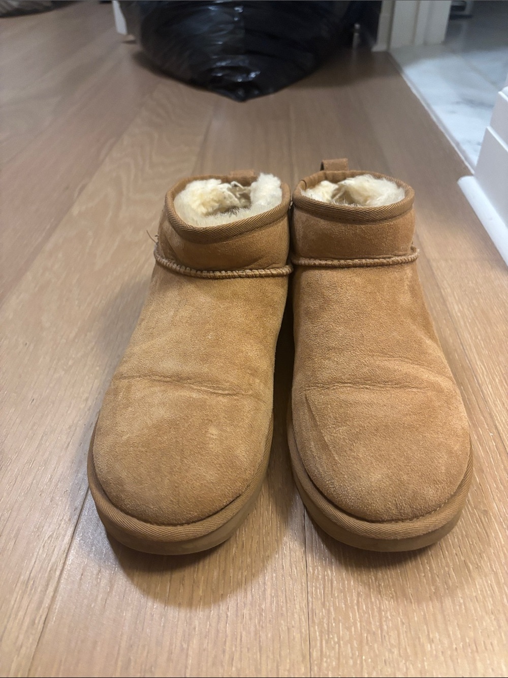 Cozy Mini Ugg Ankle Boots in Tan with Shearling Lining